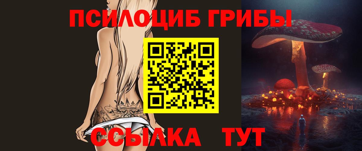 Галлюциногенные грибы Psilocybe Кимовск